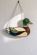 Mallard Duck